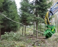 bild3.jpg