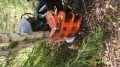 KX-280 with collector and treeshear closed.JPG